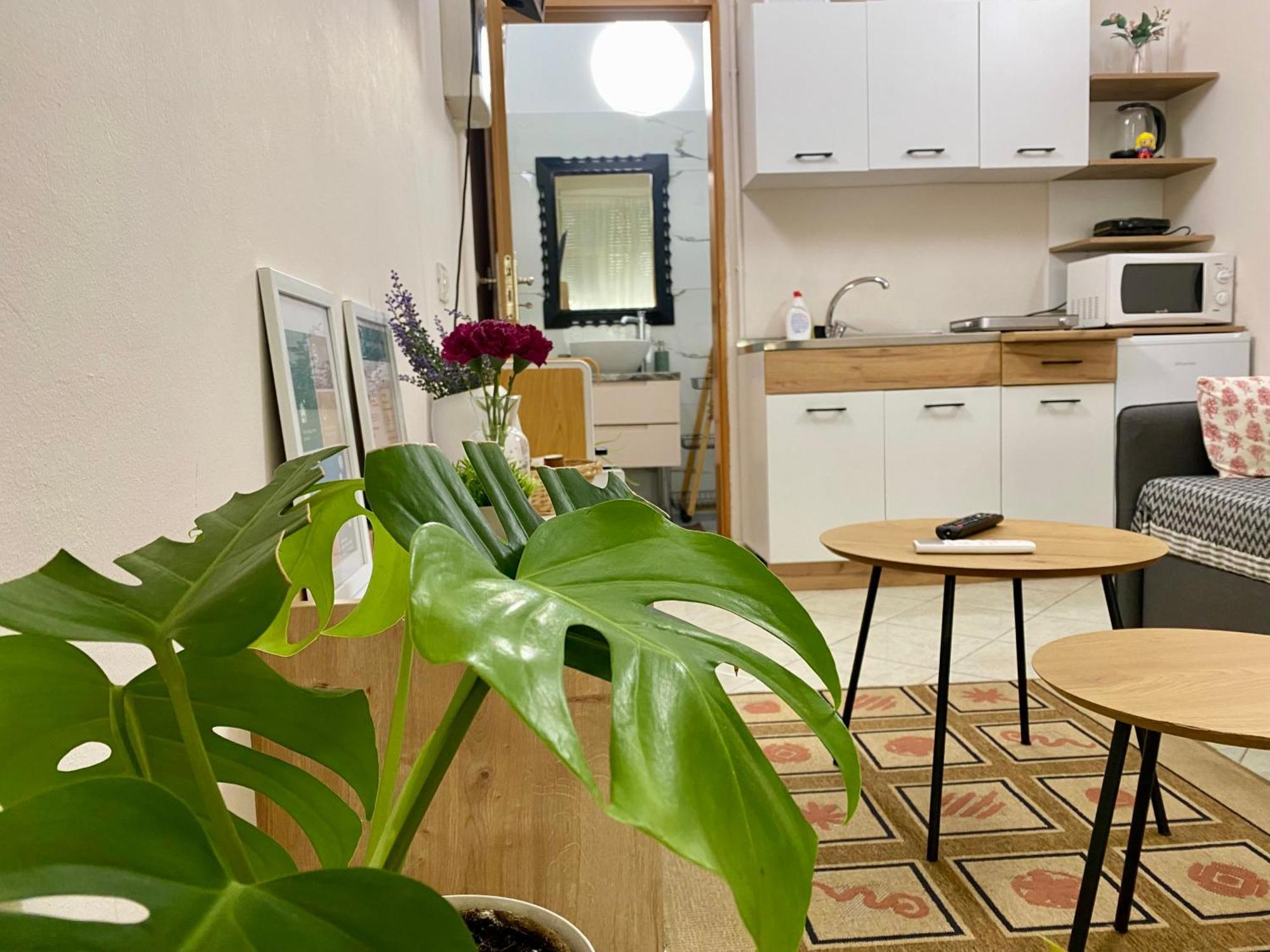 Dori'S Wilson Studio At Blloku Neighborhood Тирана Екстериор снимка