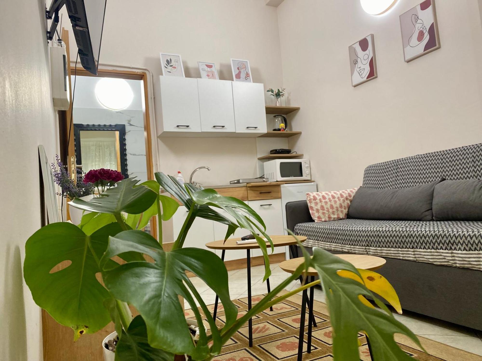 Dori'S Wilson Studio At Blloku Neighborhood Тирана Екстериор снимка